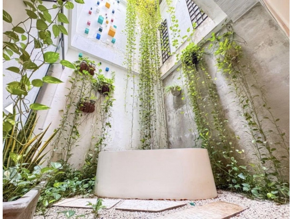 VENDO HERMOSA CASA COLONIAL EN CARTAGENA PARA INVERSIÓN EN GETSEMANI — foto 6