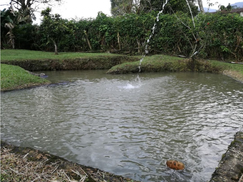 Vendo hermosa casa terreno 8.000m2 en Sasaima - 3