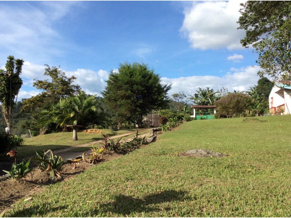 Vendo hermosa casa terreno 8.000m2 en Sasaima - 1