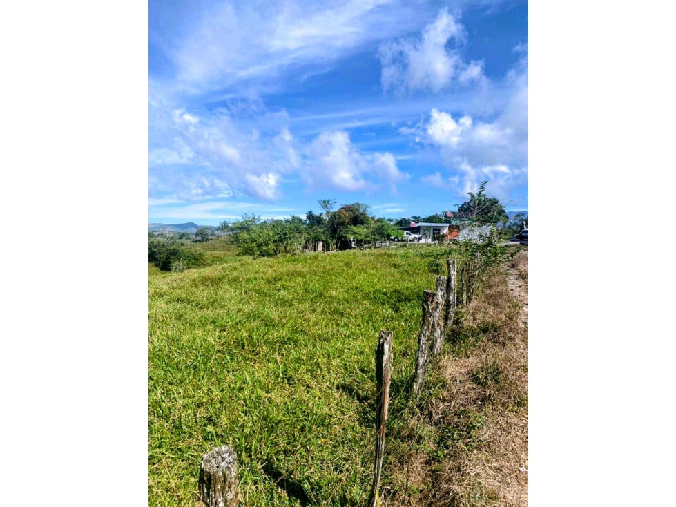 Vendo hermosa finca de 2 hectáreas en Volcán, Tierras Altas - 2