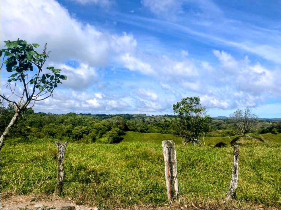 Vendo hermosa finca de 2 hectáreas en Volcán, Tierras Altas - 3
