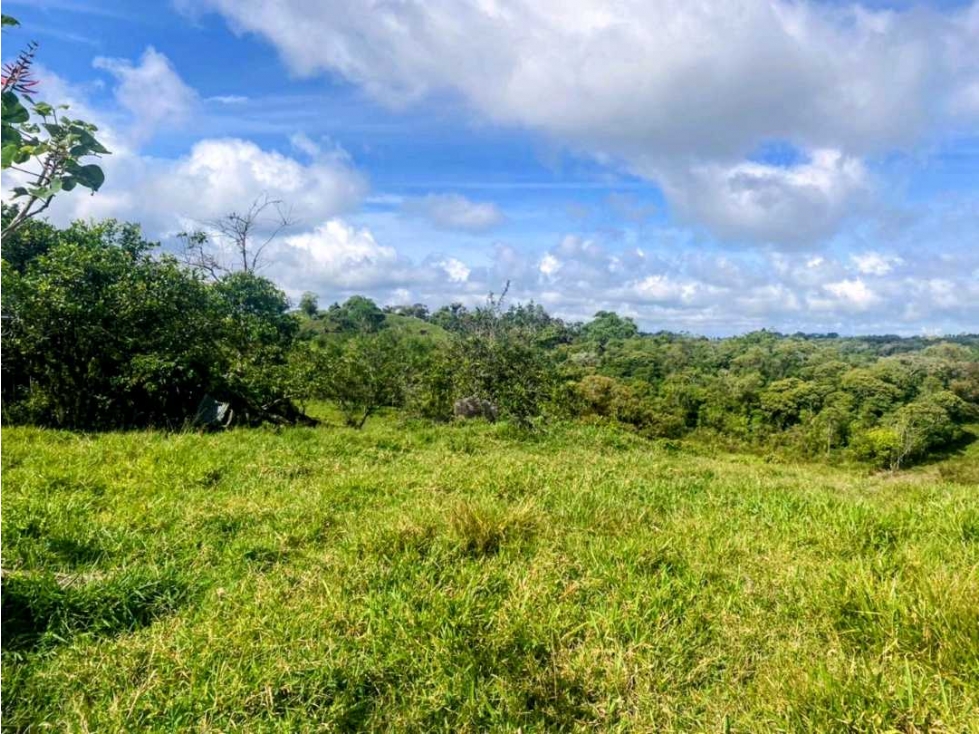 Vendo hermosa finca de 2 hectáreas en Volcán, Tierras Altas - 4