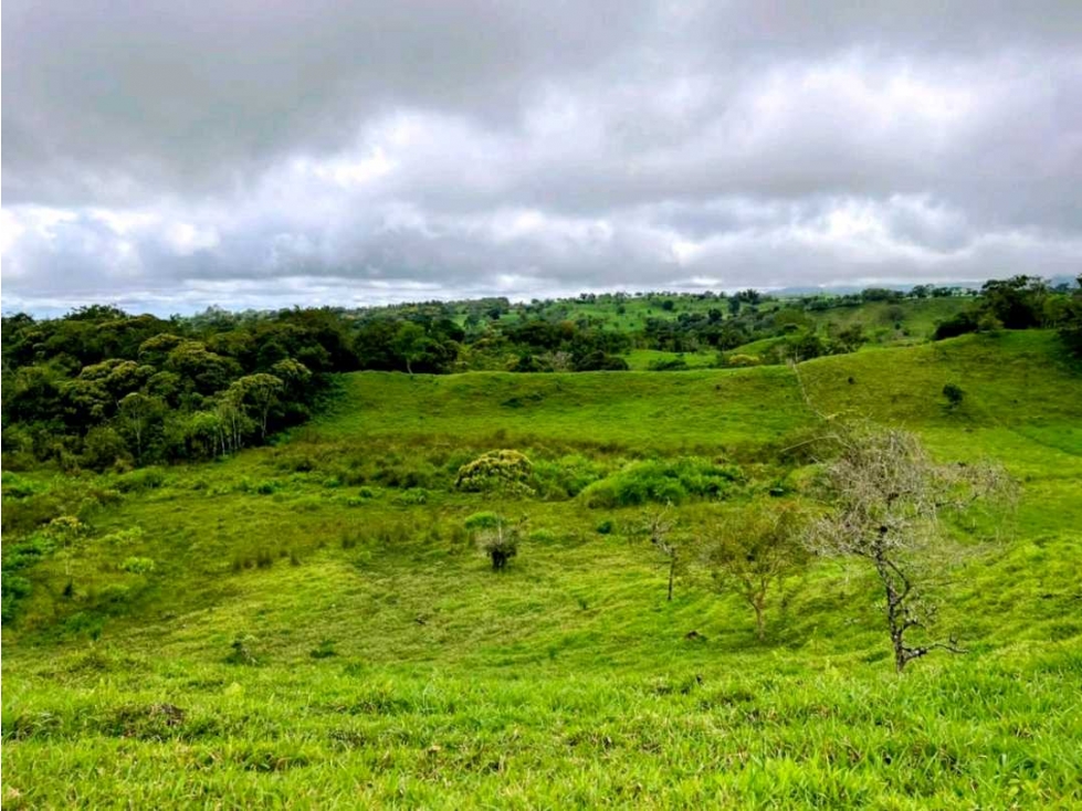 Vendo hermosa finca de 2 hectáreas en Volcán, Tierras Altas - 5