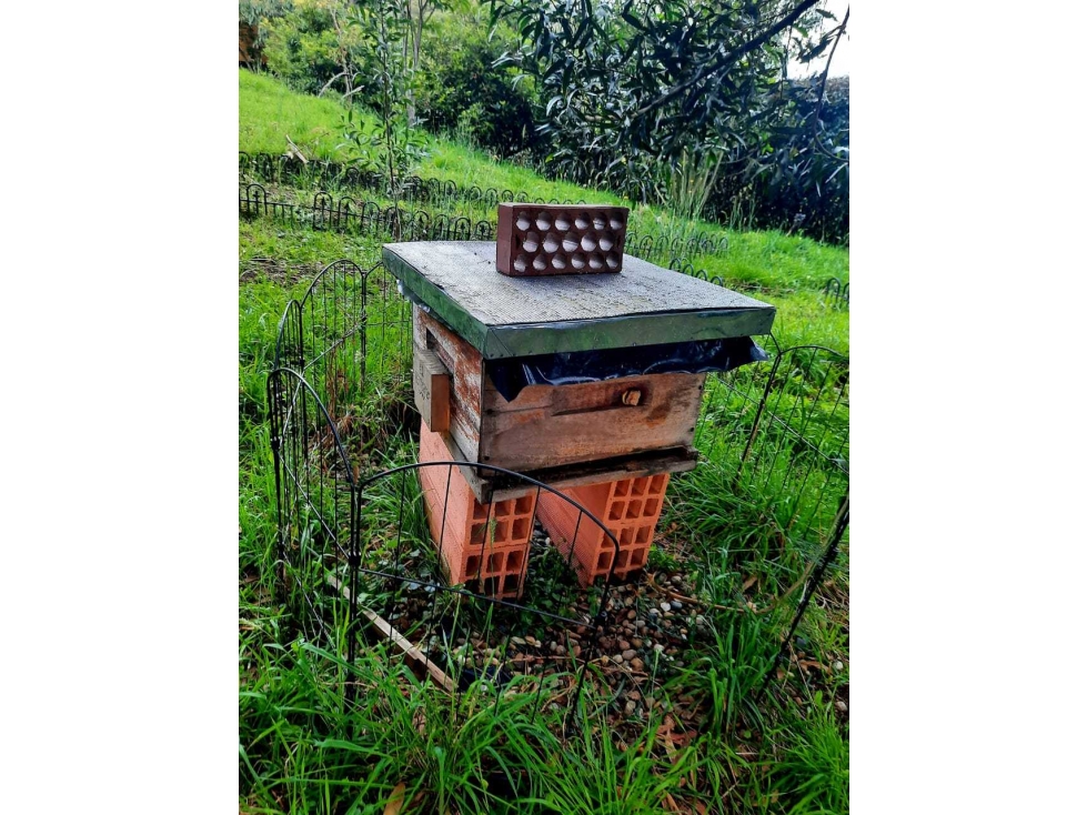VENDO HERMOSA FINCA CERCA A SAN PEDRO DE LOS MILAGROS — foto 6
