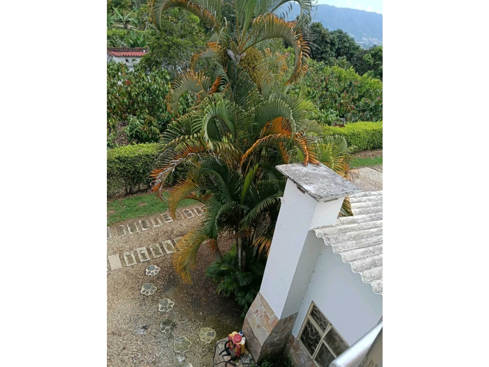 VENDO HERMOSA FINCA EN RUITOQUE ALTO SANTANDER - 6