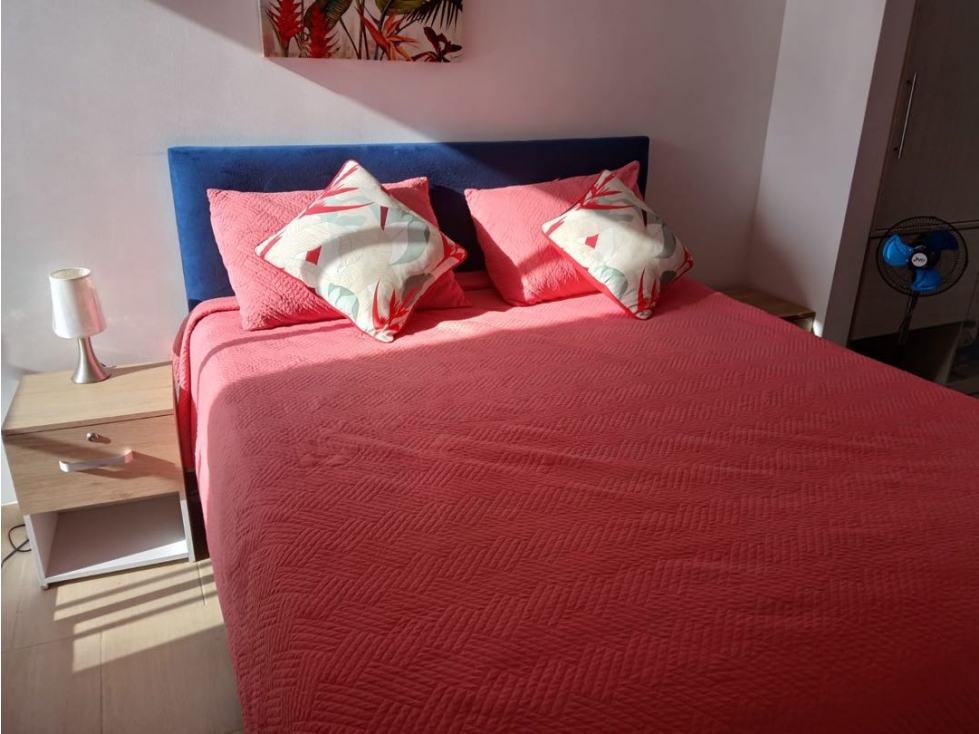 Vendo / arriendo hermoso apartamento en Carmen de Apicala - Tolima — foto 5