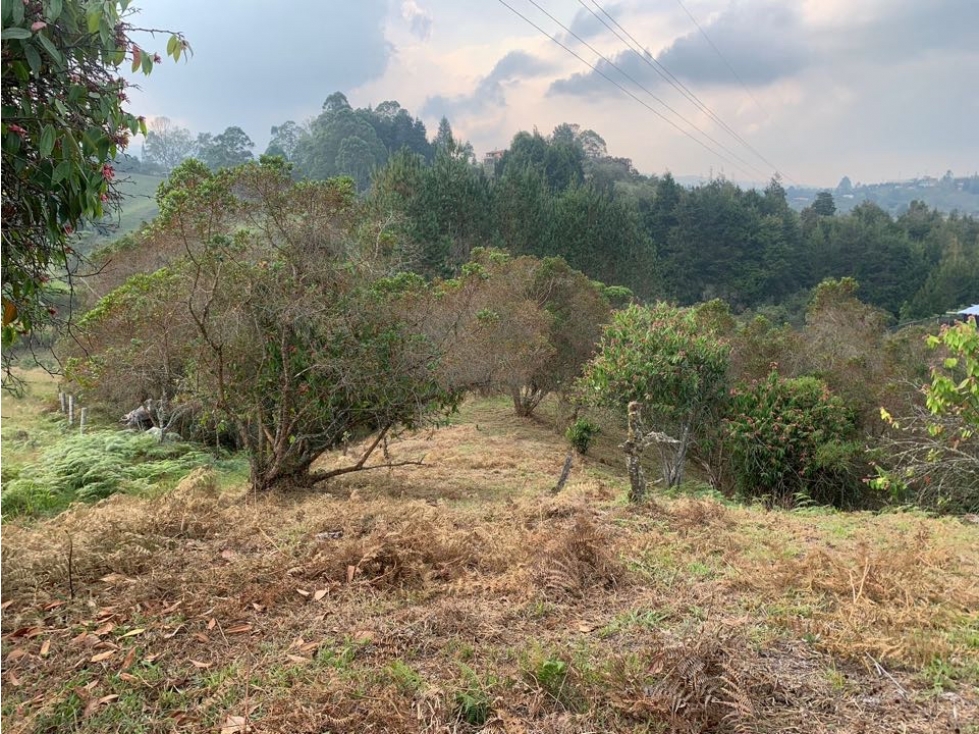 VENDO HERMOSO LOTE 4.218 METROS CUADRADOS EN RIONEGRO — foto 4
