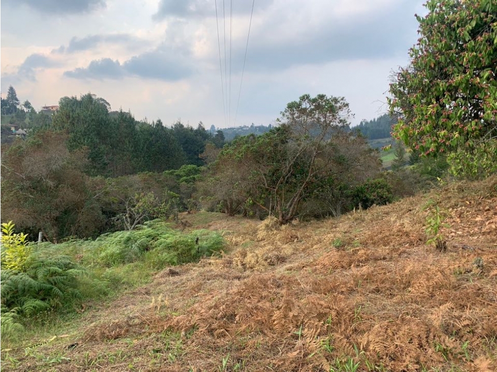 VENDO HERMOSO LOTE 4.218 METROS CUADRADOS EN RIONEGRO — foto 5