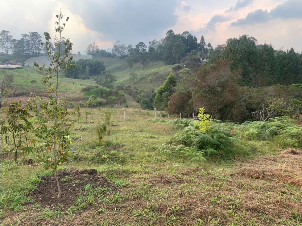 VENDO HERMOSO LOTE 4.218 METROS CUADRADOS EN RIONEGRO — foto 6