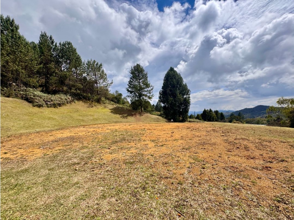 Vendo hermoso lote Alto de las Palmas en parcelación — foto 3
