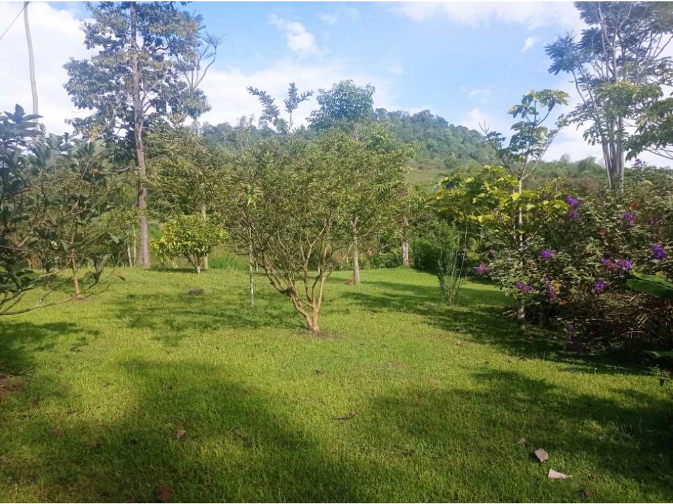 VENDO HERMOSO LOTE EN COMBIA