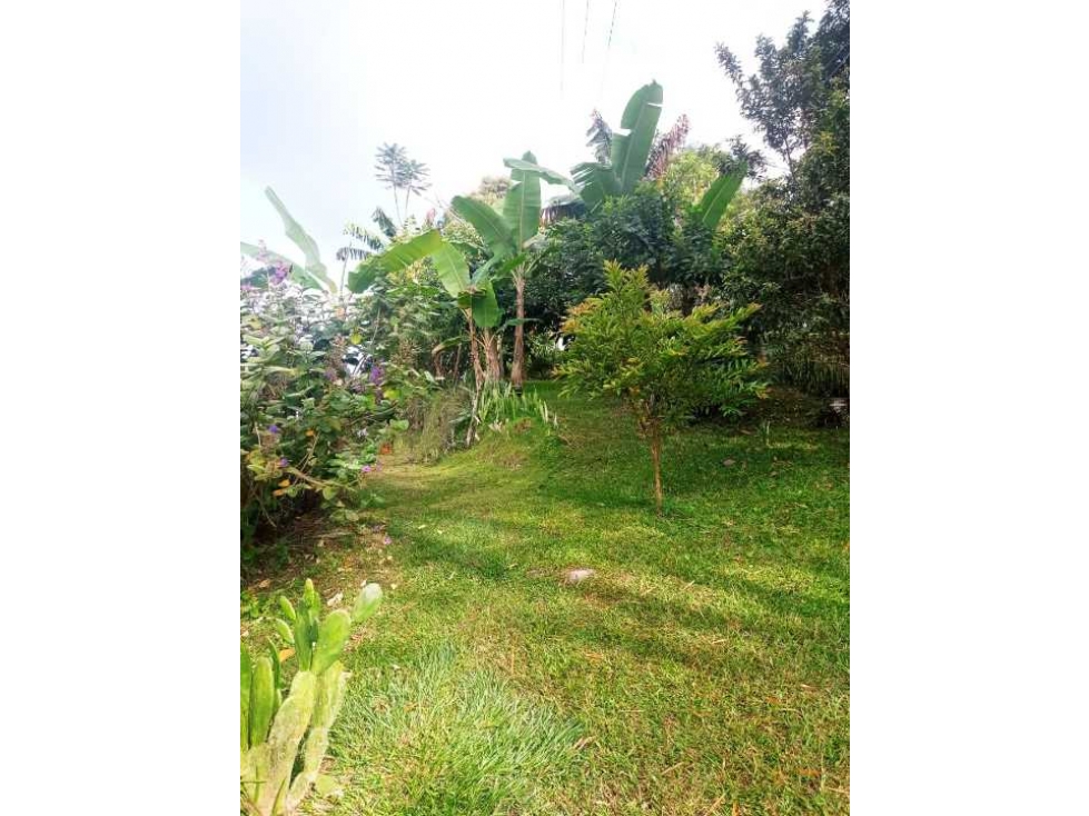 VENDO HERMOSO LOTE EN COMBIA — foto 2