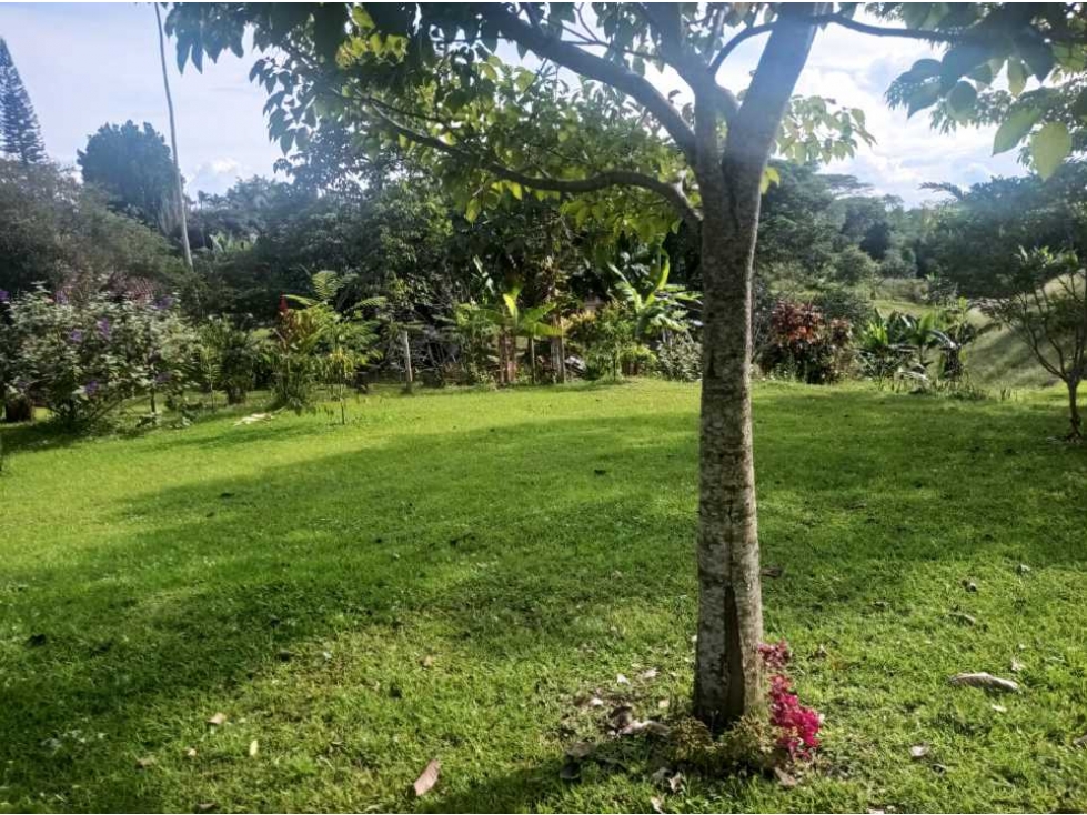 VENDO HERMOSO LOTE EN COMBIA — foto 3
