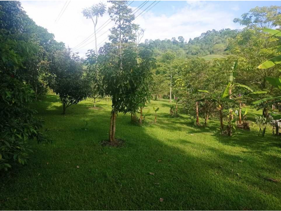 VENDO HERMOSO LOTE EN COMBIA — foto 5