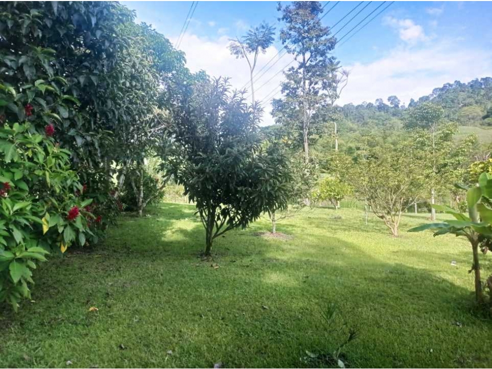 VENDO HERMOSO LOTE EN COMBIA — foto 6