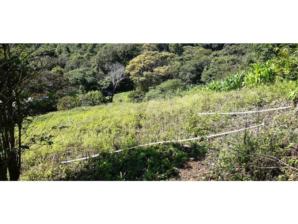 VENDO HERMOSO LOTE DE 3000M2 VIA VOLCANCITO - 4