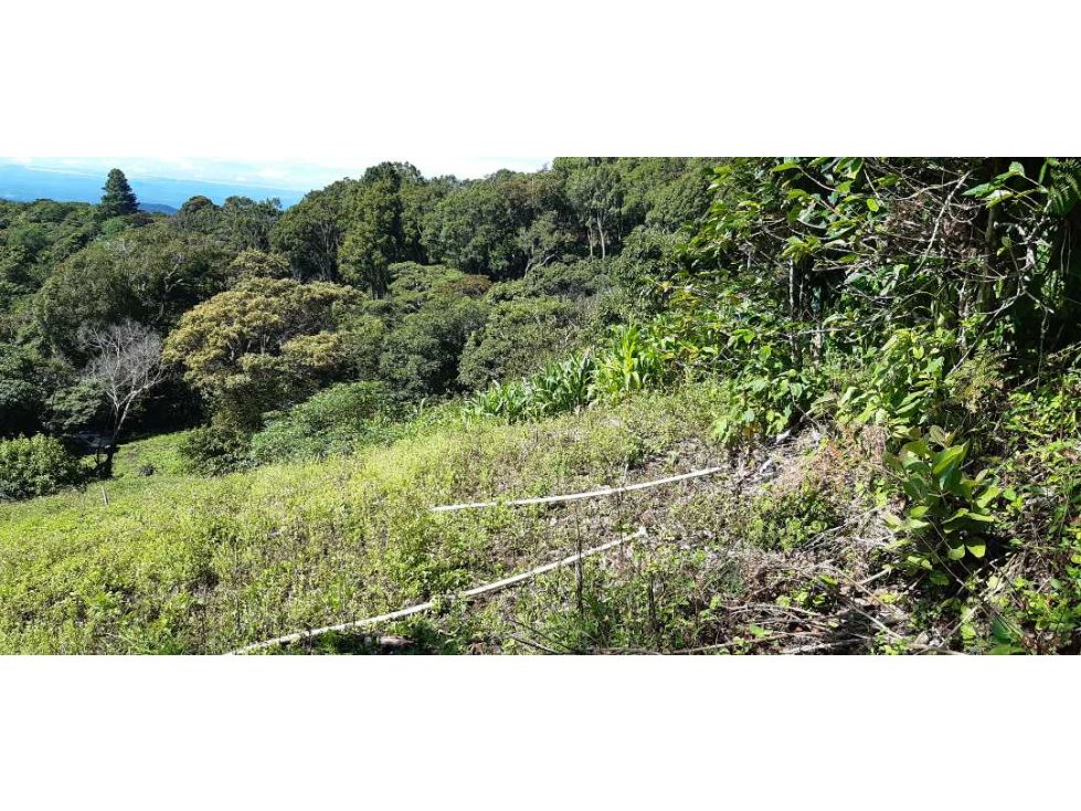 VENDO HERMOSO LOTE DE 3000M2 VIA VOLCANCITO - 5