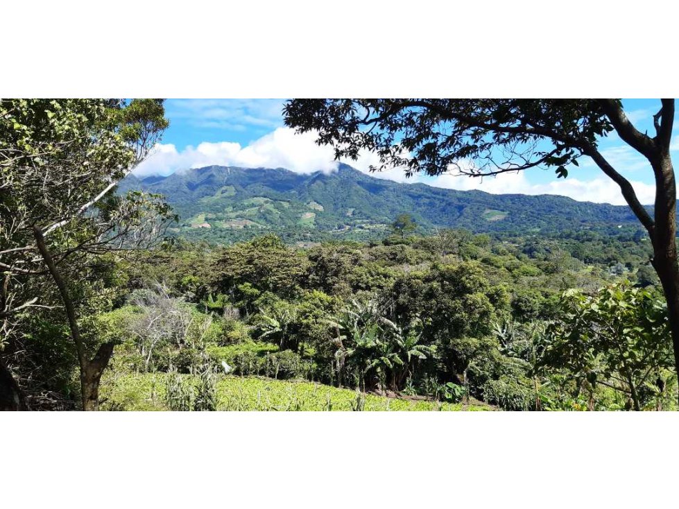 VENDO HERMOSO LOTE DE 3000M2 VIA VOLCANCITO - 6