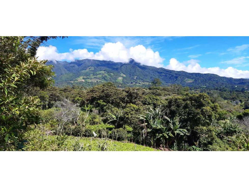 SE VENDE LOTE DE 3000M2 EN VOLCANCITO — foto 2