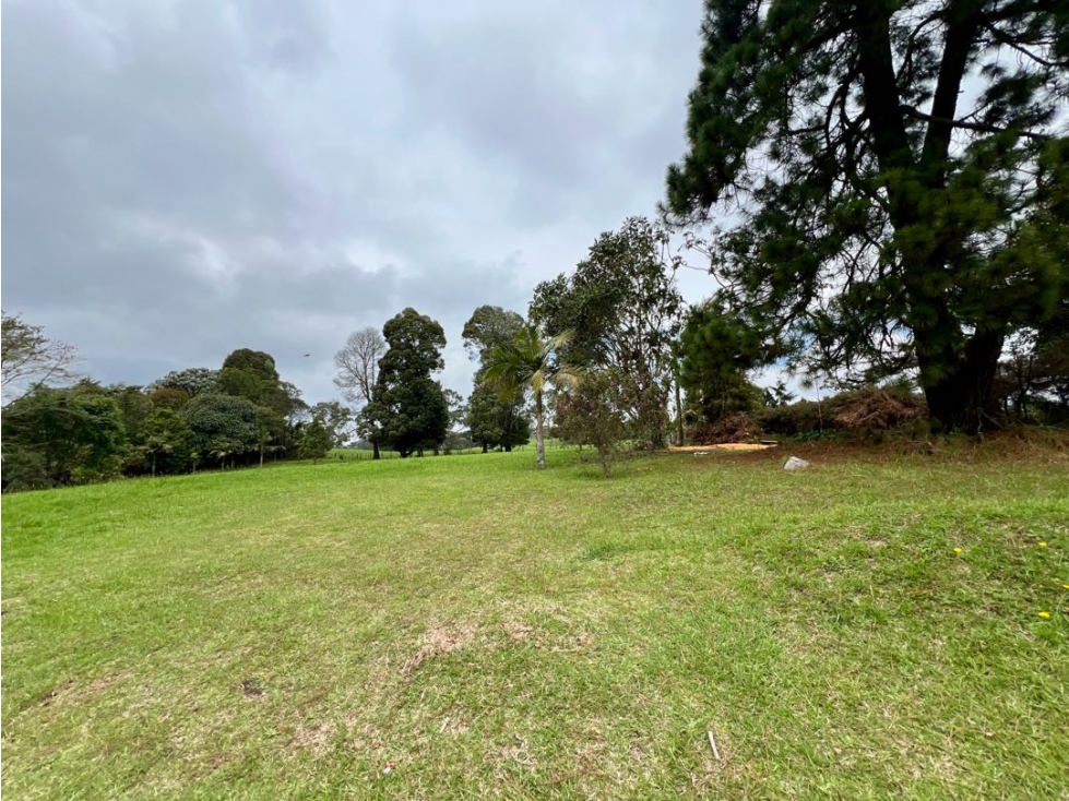 VENDO HERMOSO LOTE EN ALTO DE LAS PALMAS UNIDAD CERRADA TORRE LUNERA — foto 2