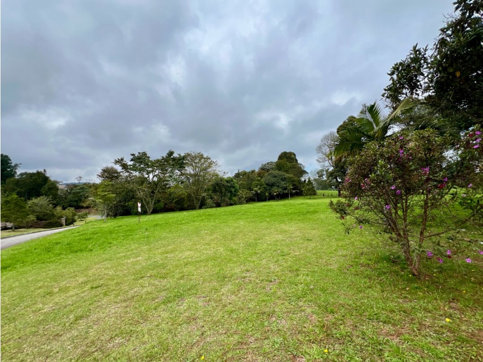 VENDO HERMOSO LOTE EN ALTO DE LAS PALMAS UNIDAD CERRADA TORRE LUNERA — foto 3