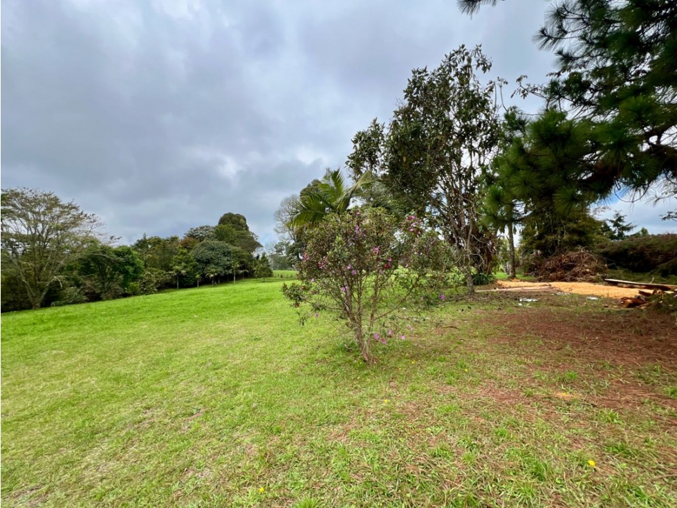 VENDO HERMOSO LOTE EN ALTO DE LAS PALMAS UNIDAD CERRADA TORRE LUNERA — foto 4