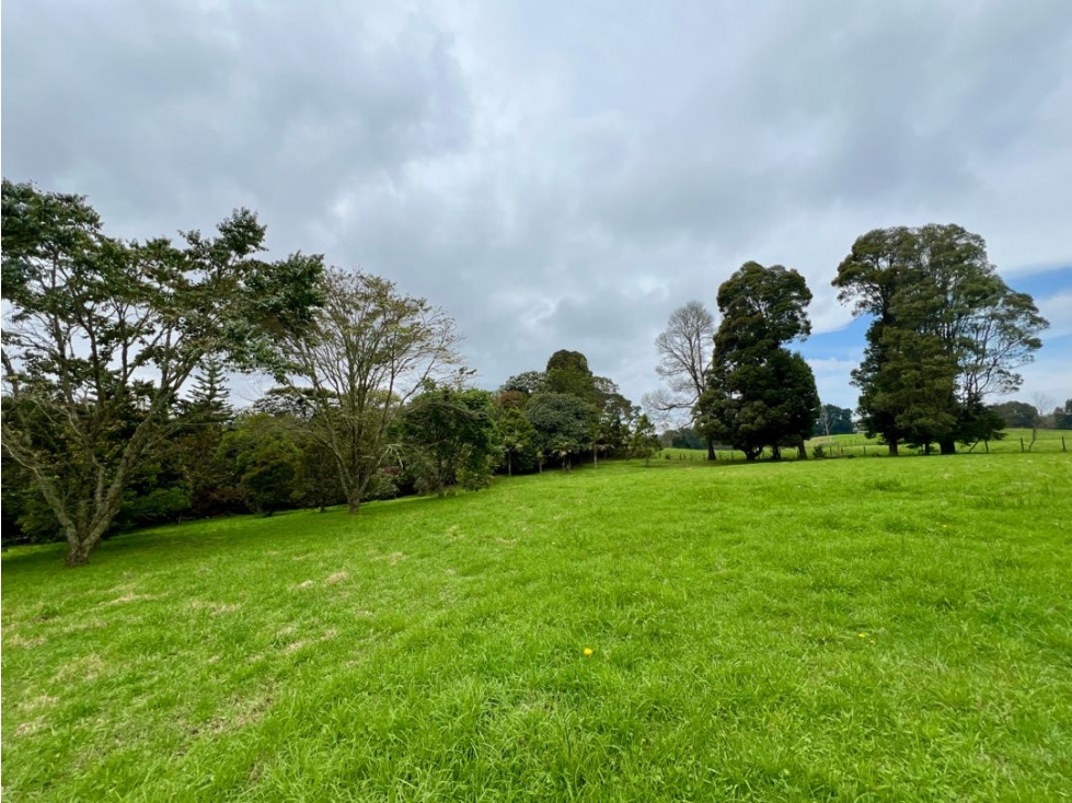 VENDO HERMOSO LOTE EN ALTO DE LAS PALMAS UNIDAD CERRADA TORRE LUNERA — foto 5