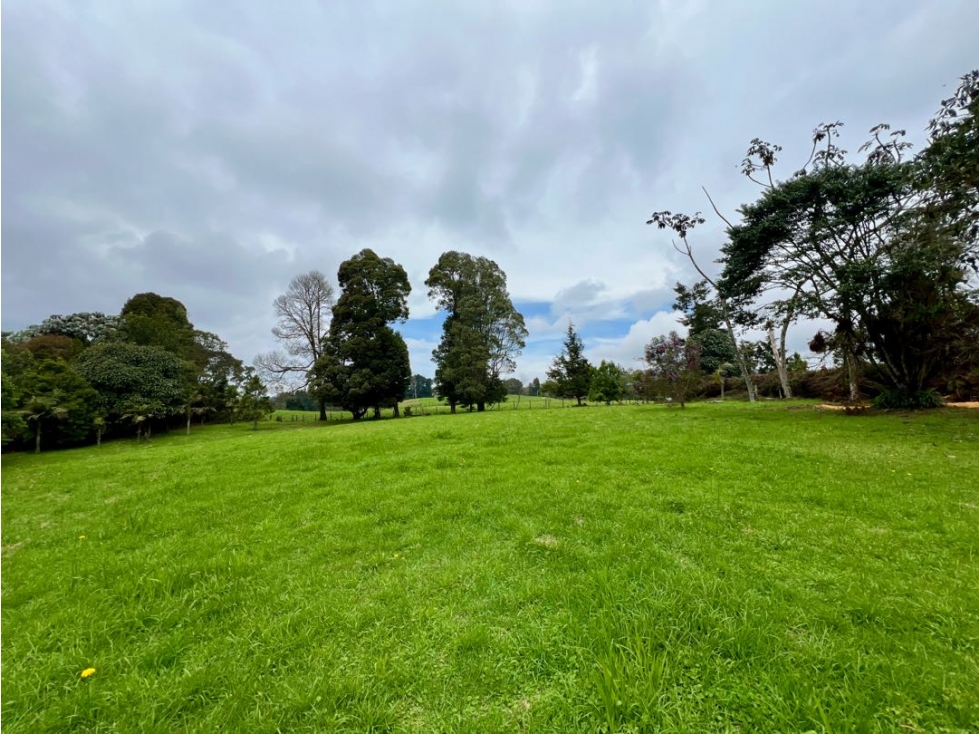 VENDO HERMOSO LOTE EN ALTO DE LAS PALMAS UNIDAD CERRADA TORRE LUNERA — foto 6