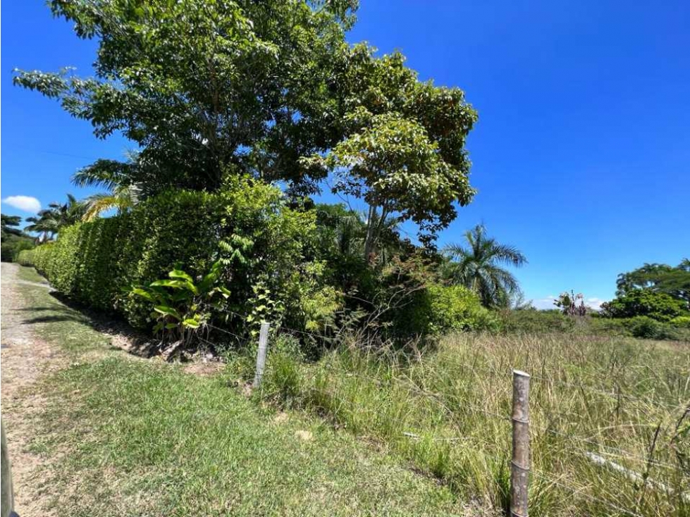 VENDO HERMOSO LOTE EN CERRITOS PEREIRA — foto 3