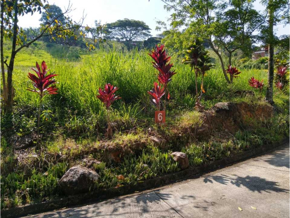 Vendo hermoso lote en condominio en Combia — foto 5