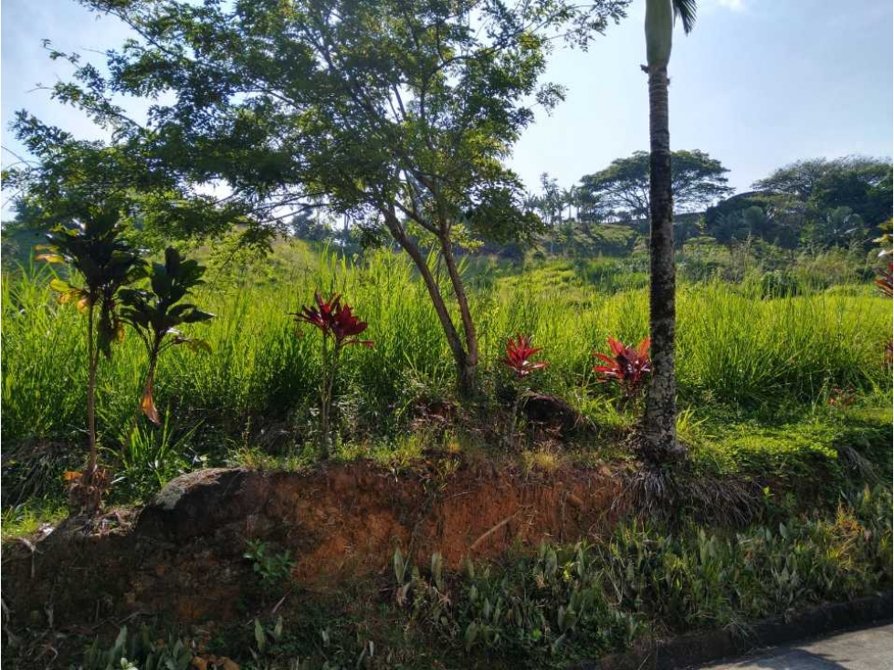 Vendo hermoso lote en condominio en Combia — foto 6