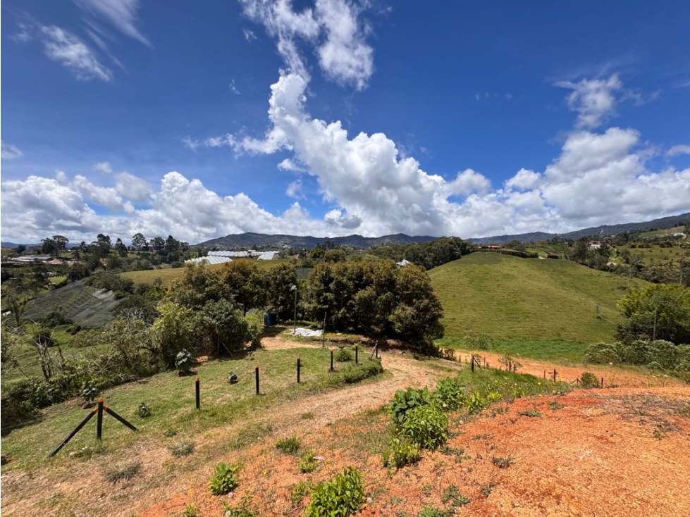 Vendo hermoso lote en el Carmen de Viboral — foto 4