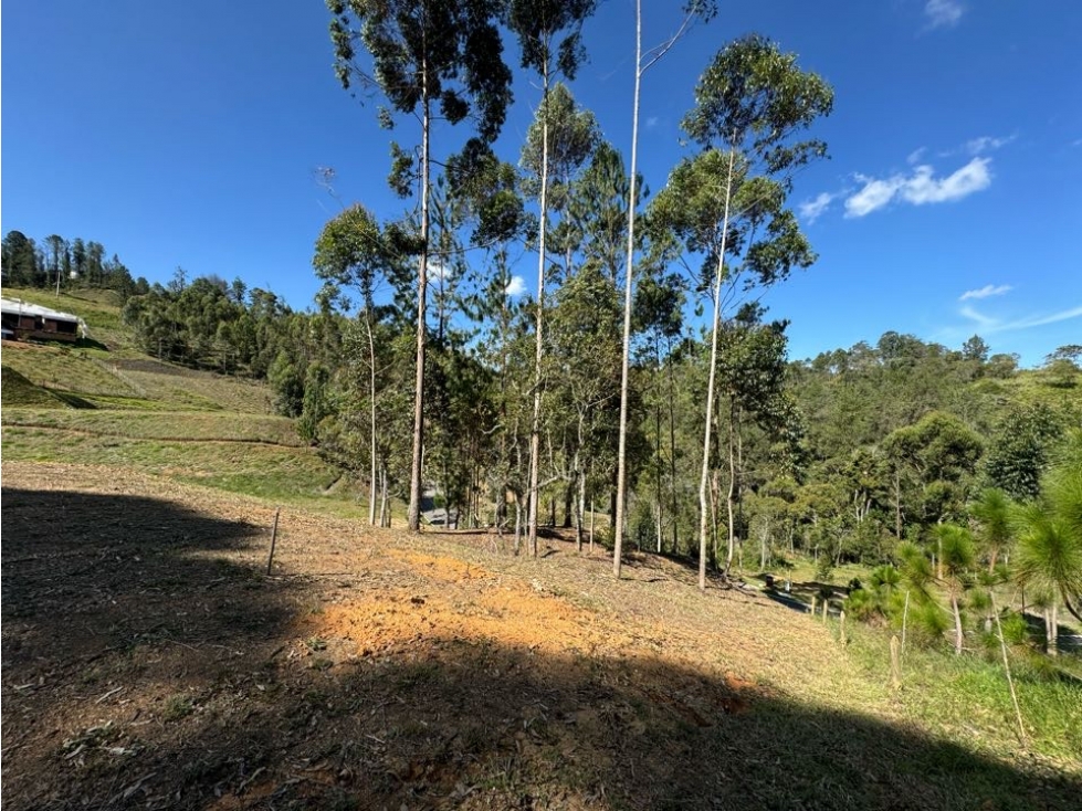 Vendo hermoso lote en Horizontes, El Retiro Antioquia — foto 3