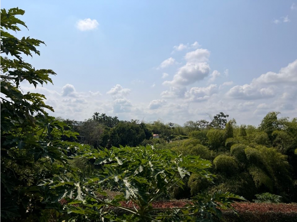 Vendo hermoso lote en la vía Alcalá la palmilla — foto 3