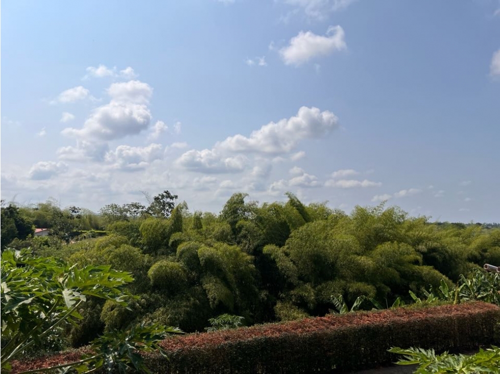 Vendo hermoso lote en la vía Alcalá la palmilla — foto 4