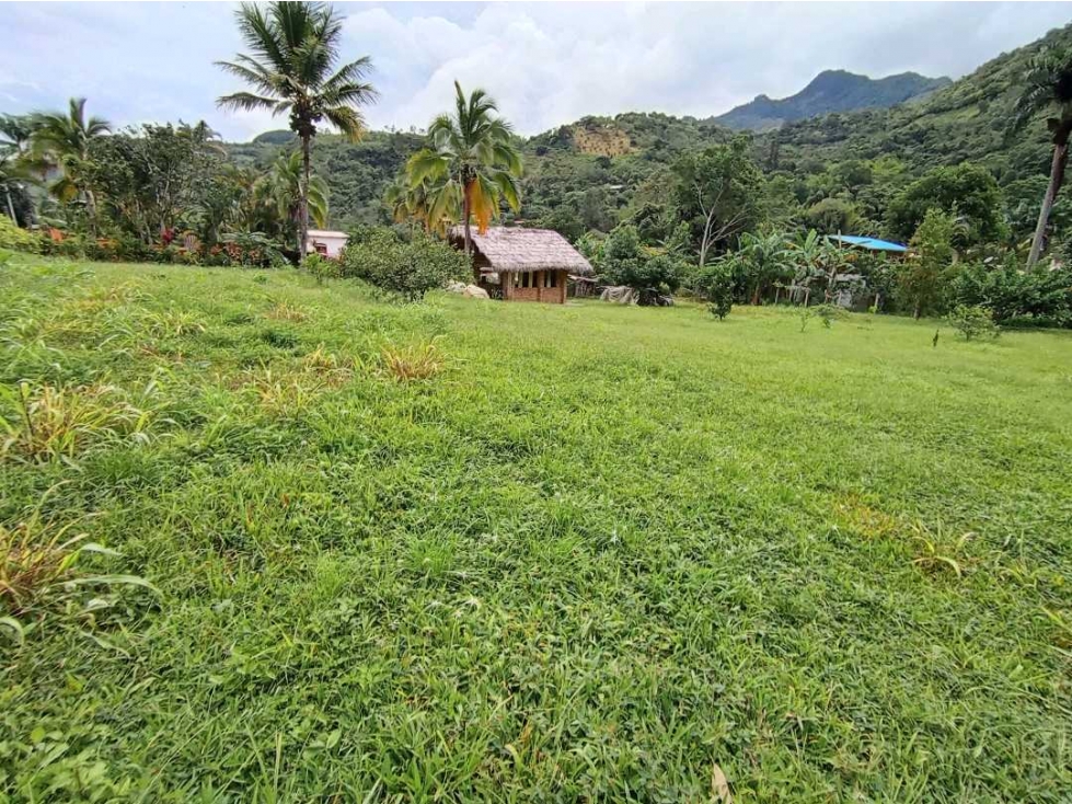 VENDO HERMOSO LOTE EN PACHO SECTOR EL CUCHARAL SE RECIBE VEHICULO - 2