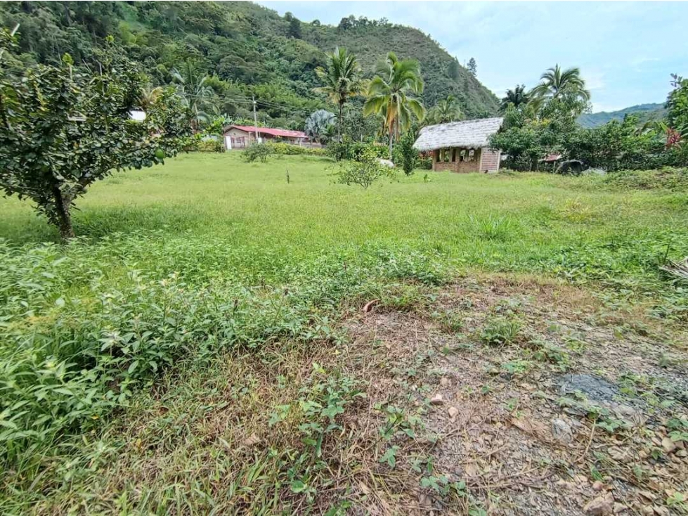 VENDO HERMOSO LOTE EN PACHO SECTOR EL CUCHARAL SE RECIBE VEHICULO - 5