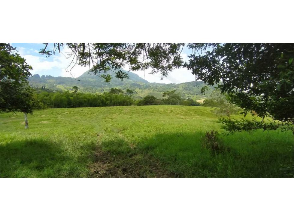 VENTA DE LOTE EN FREDONIA - SUROESTE ANTIOQUEÑO - 1