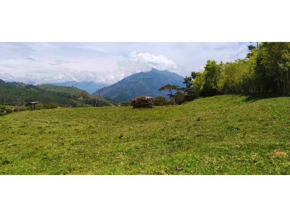 VENTA DE LOTE EN FREDONIA - SUROESTE ANTIOQUEÑO - 2