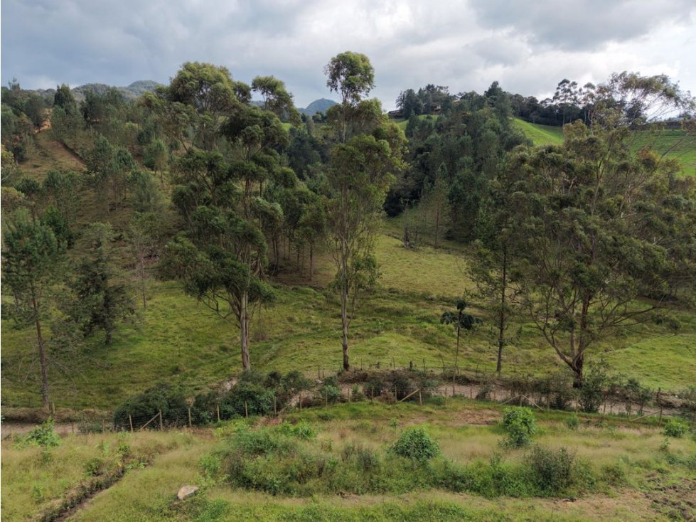 Vendo hermoso lote en Parcelación Hacienda Flandes en el retiro — foto 4