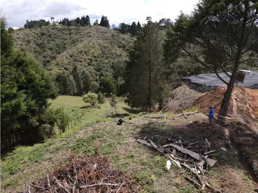 VENDO LOTE EN GUARNE A 25 MINUTOS DE JMC — foto 3