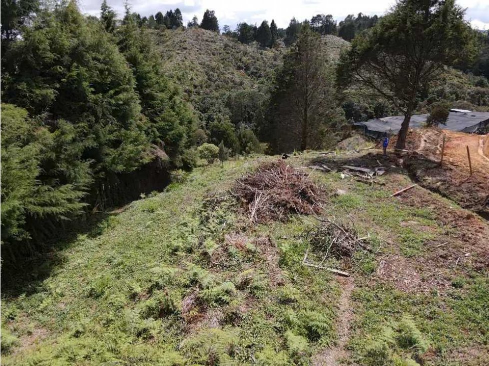 VENDO LOTE EN GUARNE A 25 MINUTOS DE JMC — foto 5