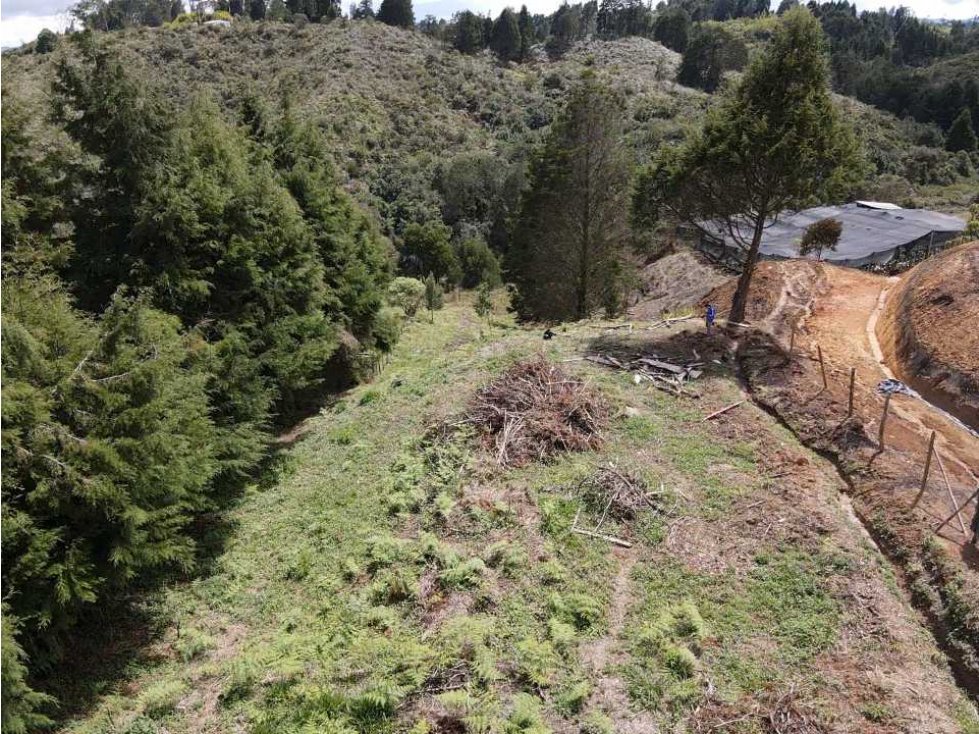 VENDO LOTE EN GUARNE A 25 MINUTOS DE JMC — foto 6