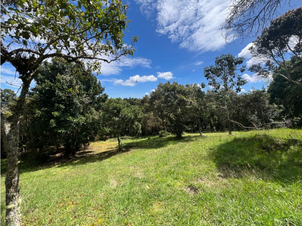 VENDO HERMOSO LOTE EN VALLE ALTO ~ ALTO DE LAS PALMAS CON BOSQUE