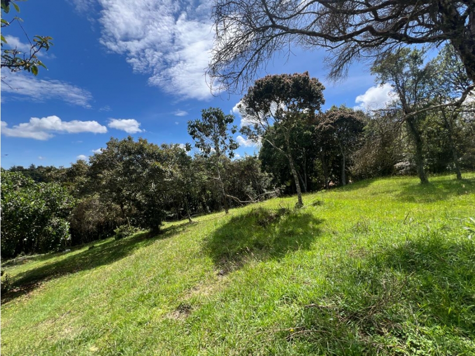 VENDO HERMOSO LOTE EN VALLE ALTO ~ ALTO DE LAS PALMAS CON BOSQUE — foto 3