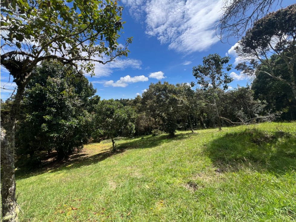 VENDO HERMOSO LOTE EN VALLE ALTO ~ ALTO DE LAS PALMAS CON BOSQUE — foto 6