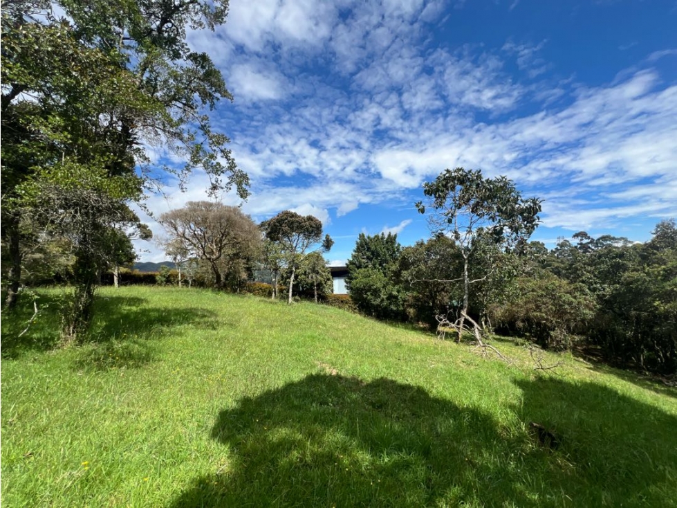 VENDO HERMOSO LOTE EN VALLE ALTO ~ ALTO DE LAS PALMAS CON BOSQUE — foto 2