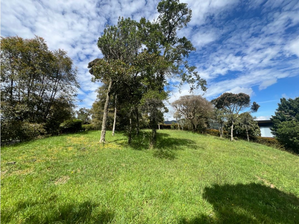 VENDO HERMOSO LOTE EN VALLE ALTO ~ ALTO DE LAS PALMAS CON BOSQUE — foto 4