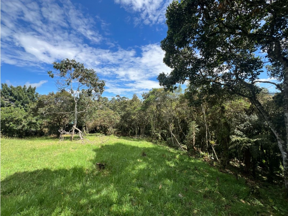VENDO HERMOSO LOTE EN VALLE ALTO ~ ALTO DE LAS PALMAS CON BOSQUE — foto 5