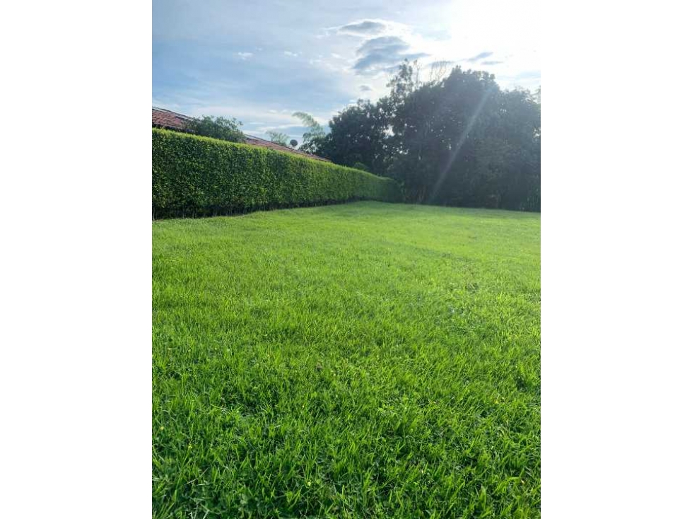 VENDO HERMOSO LOTE PLANO SECTOR EL TIGRE CERRITOS PEREIRA - 2